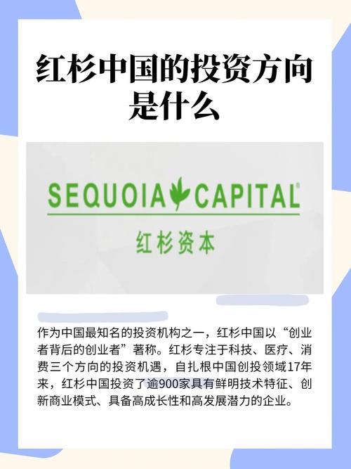 诺亚创融_诺亚融易通小贷怎么样_诺亚创融正规吗