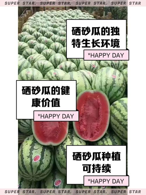 夏日西瓜季，宁夏硒砂瓜低价畅销，永州本地瓜却产销两旺