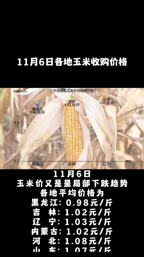 30日玉米全国均价总体偏强，5月市场多空因素将激烈博弈？