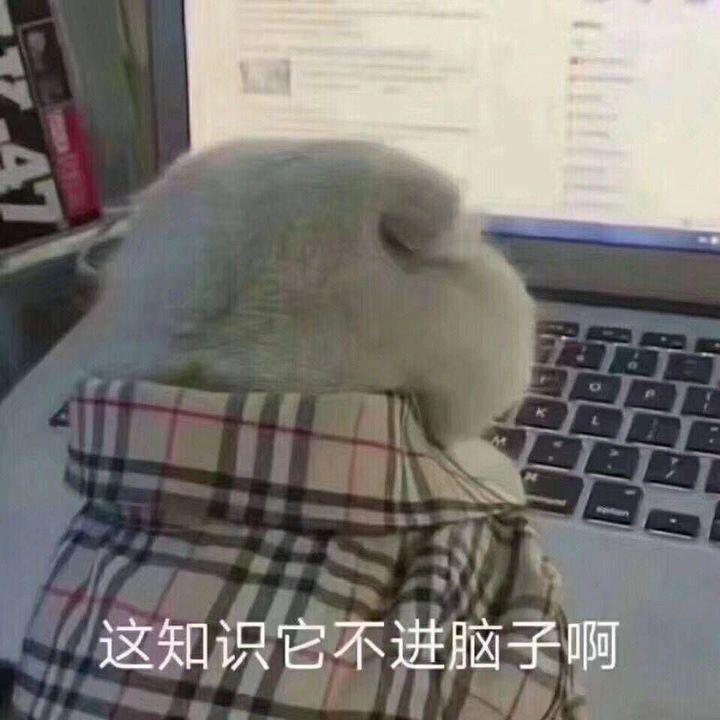 配资入门网_基金经理评价_基金投资风险