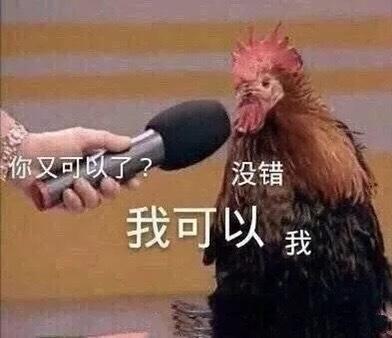 基金投资风险_配资入门网_基金经理评价