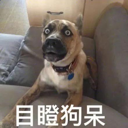 亿赢配资__ A股市场独立行情 