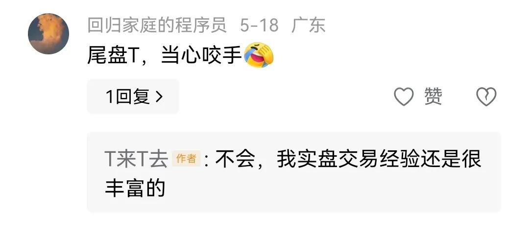 股票尾盘打盘口策略_尾盘集合竞价 撤单_尾盘T+0技巧