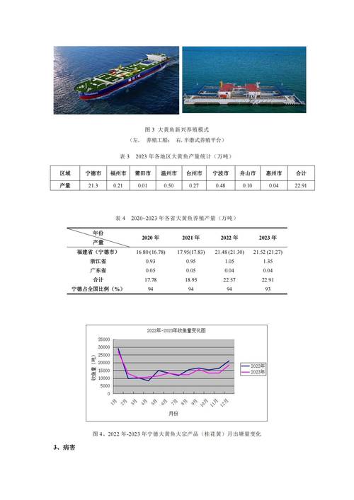 2028年鱼片市场突破300亿_鱼在餐饮业的行情_中国鱼片加工行业市场规模预测
