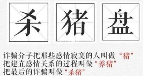 警惕！股市杀猪盘等陷阱频现，广东证监局筑牢保护墙