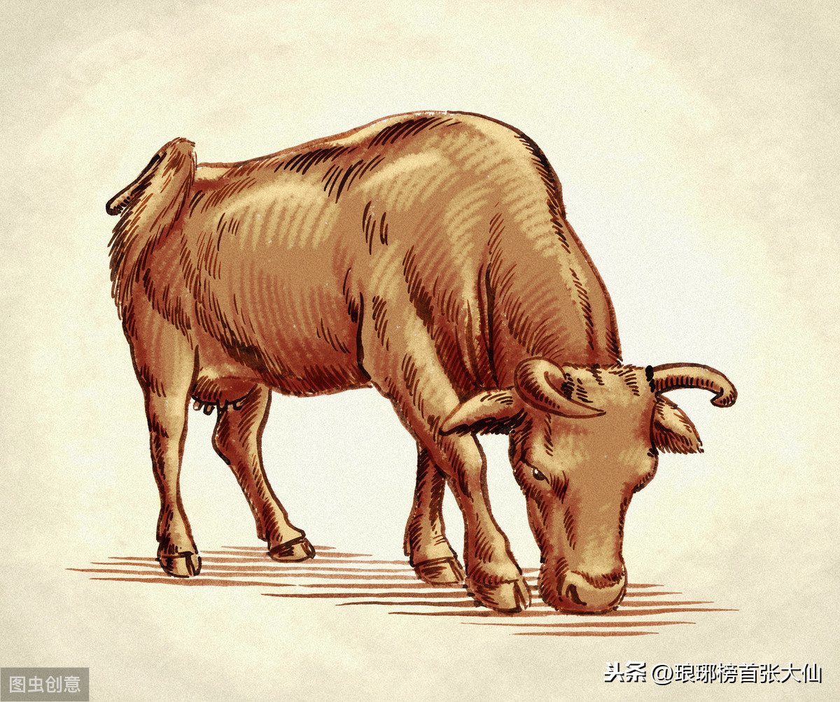 熊市是什么意思_A股熊长牛短投资策略_熊市末期布局技巧