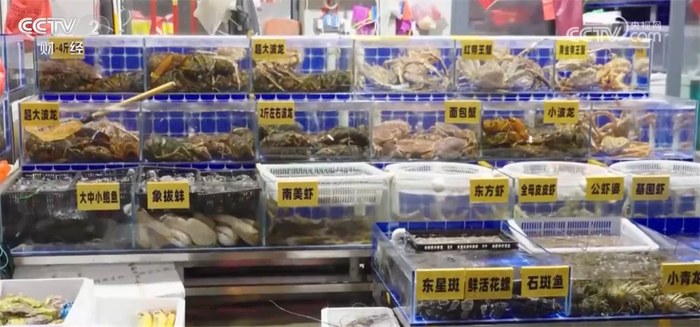 2025年1月5日肥猪行情_生猪市场供需关系_全国生猪价格走势