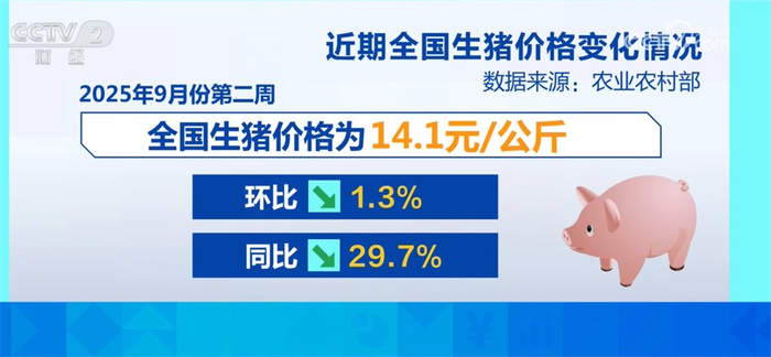 2025年1月5日肥猪行情_生猪市场供需关系_全国生猪价格走势