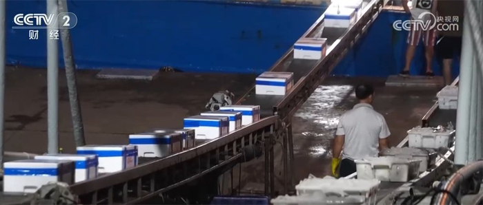 全国生猪价格走势_2025年1月5日肥猪行情_生猪市场供需关系