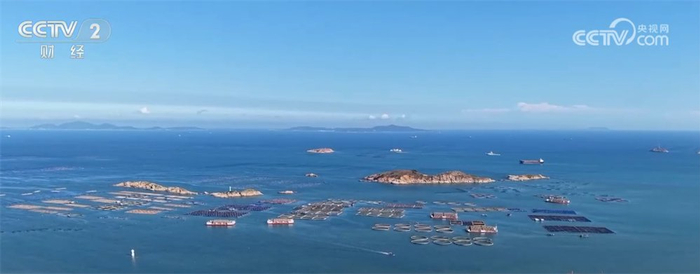 生猪市场供需关系_2025年1月5日肥猪行情_全国生猪价格走势