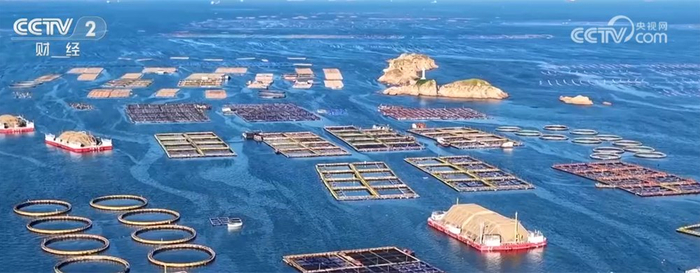 全国生猪价格走势_生猪市场供需关系_2025年1月5日肥猪行情