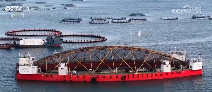 2025年1月5日肥猪行情_生猪市场供需关系_全国生猪价格走势