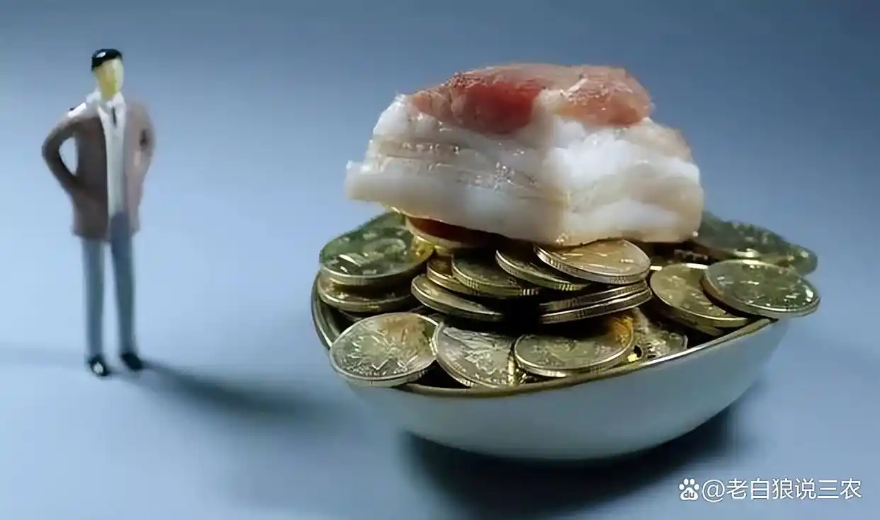 2025年11月猪价行情_屠宰企业开工率下降_生猪存栏量增长