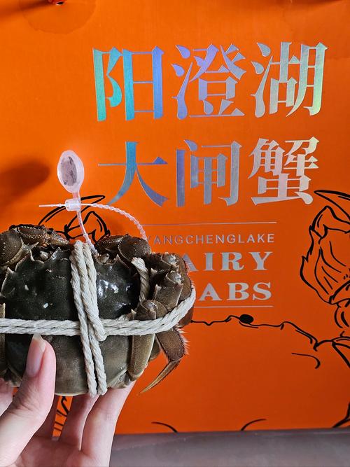 2025年螃蟹行情预测_大闸蟹品牌化标准化趋势_中国螃蟹进口来源地分析
