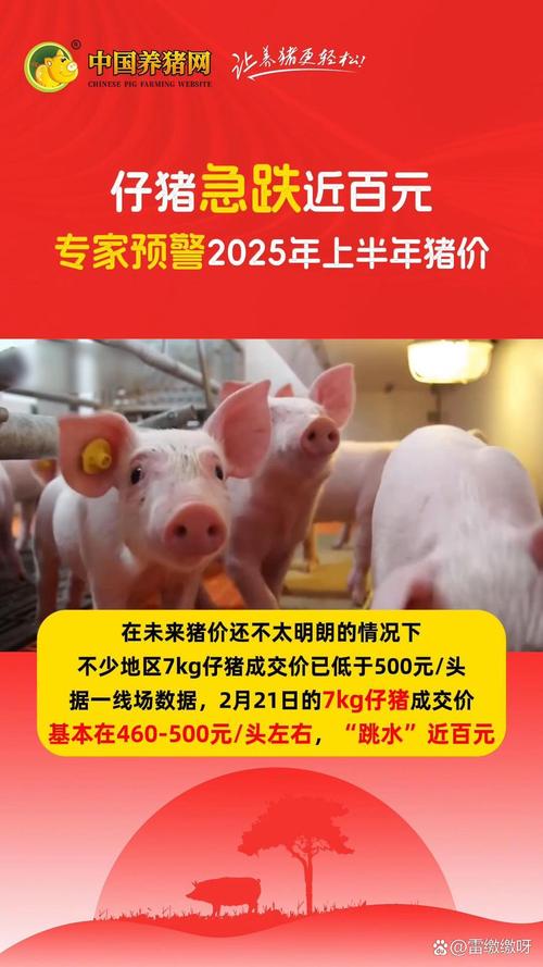 2025年第三季度我国仔猪价格断崖式下跌，跌幅超35%