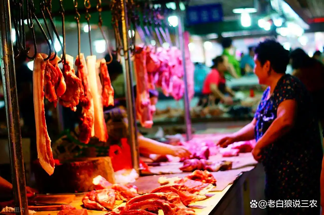 仔猪供应量级偏大_2025年11月猪价行情_生猪市场动态分析