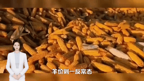 2025年11月猪价行情_仔猪供应量级偏大_生猪市场动态分析