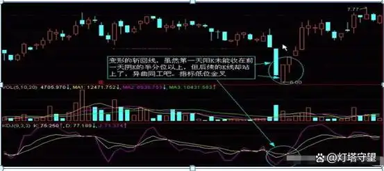 K线图基础知识_阳线右肩十字星k线图解_K线图形态分析