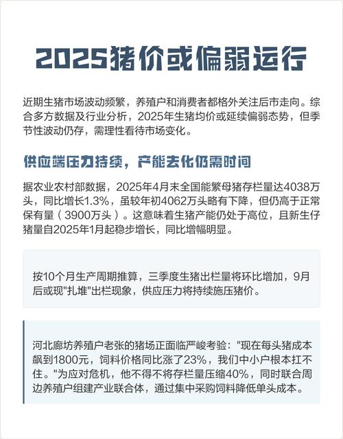 猪肉消费提振_生猪供应增长_2025年11月猪价行情