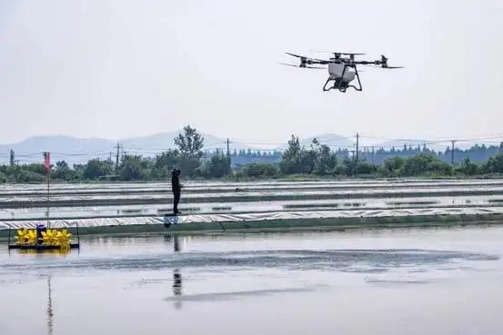 2025年螃蟹行情预测_江苏大闸蟹产量增长_阳澄湖大闸蟹品质提升_兴化蟹塘开捕时间