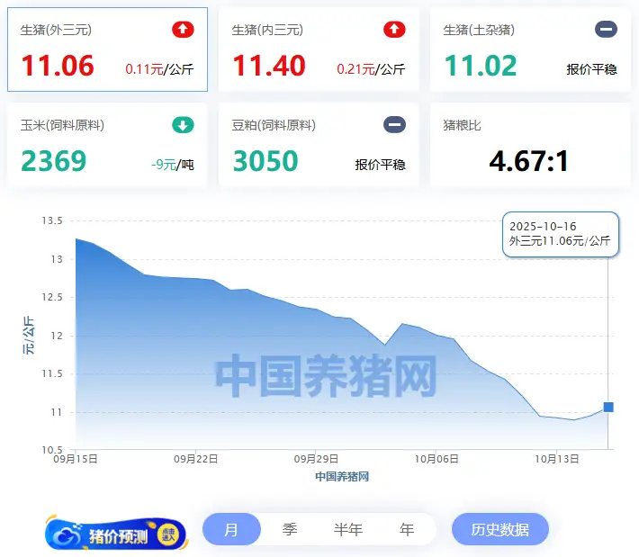 2025年10月16日全国生猪价格走势，这些地区猪价上涨