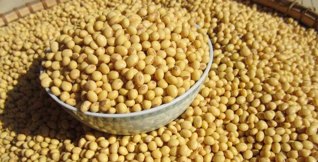 大豆进口重构_国产大豆新品种_未来五年大豆行情
