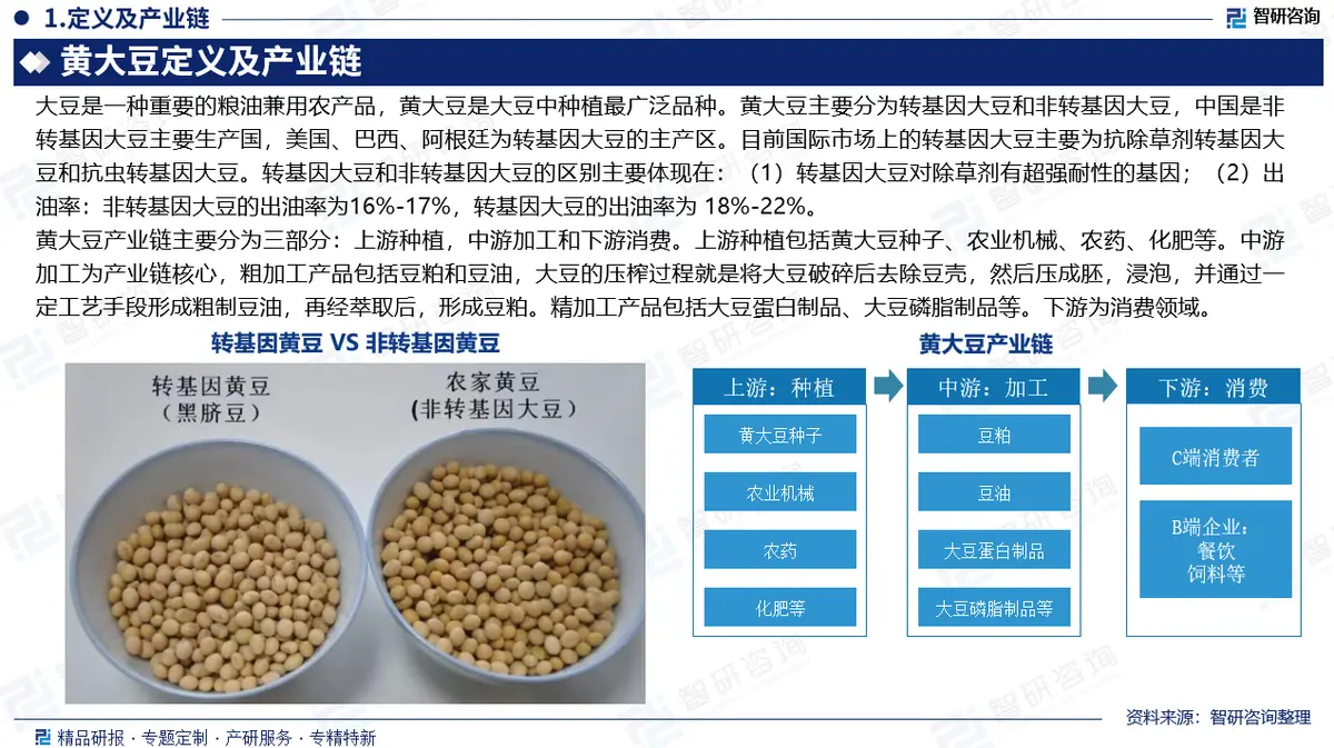 未来五年大豆行情_中国黄大豆行业市场发展态势及产业需求研判_中国黄大豆进口贸易格局分析