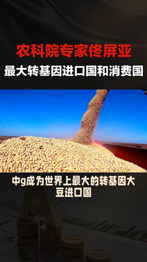 中国黄大豆行业市场发展态势及产业需求研判_未来五年大豆行情_中国黄大豆进口贸易格局分析