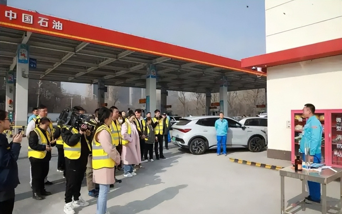 中国新能源汽车市场份额提升_2025上半年汽油消费总量下降_未来油价变动趋势