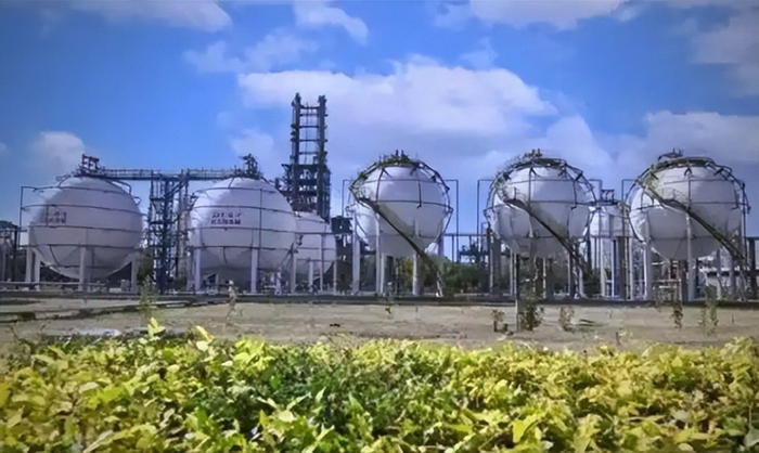 2025上半年汽油消费总量下降_未来油价变动趋势_中国新能源汽车市场份额提升