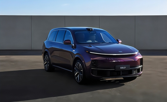 未来油价变动趋势_中国新能源汽车市场份额提升_2025上半年汽油消费总量下降