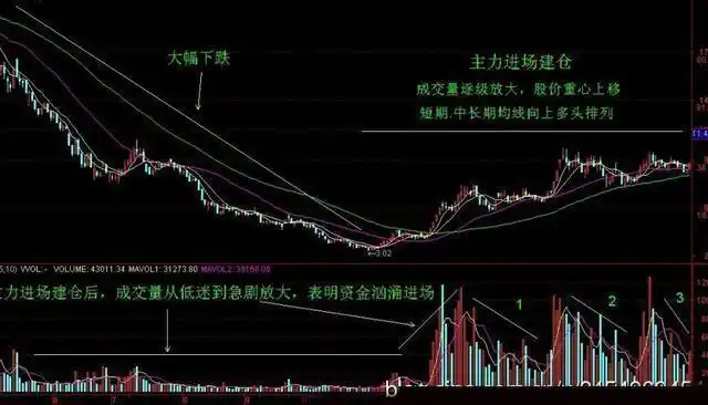 理性投资策略_5000元炒股一年赚多少_投资修行