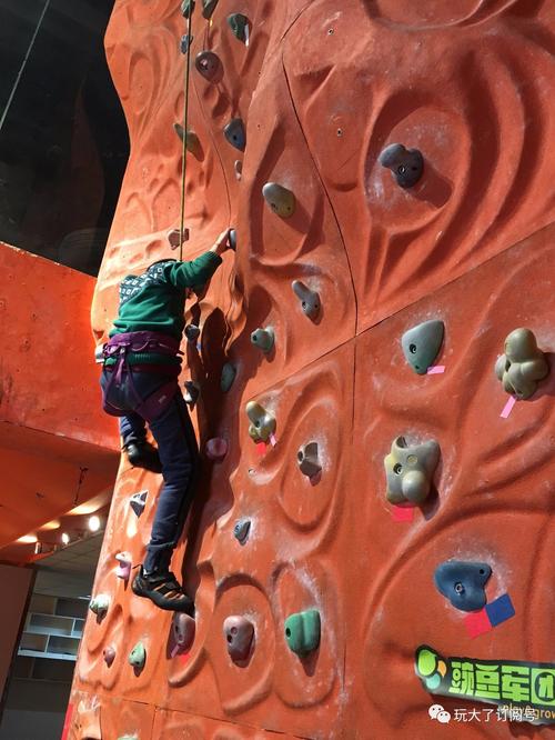 攀岩运动趋势_上海攀岩馆市场分析_北京攀岩馆数量增长