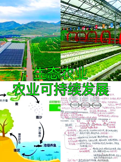 饲料市场需求分析_养猪业的发展趋势_饲料行业发展趋势