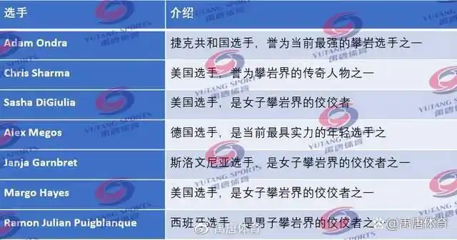 攀岩运动趋势_攀岩运动的全球参与情况_攀岩运动在全国的发展