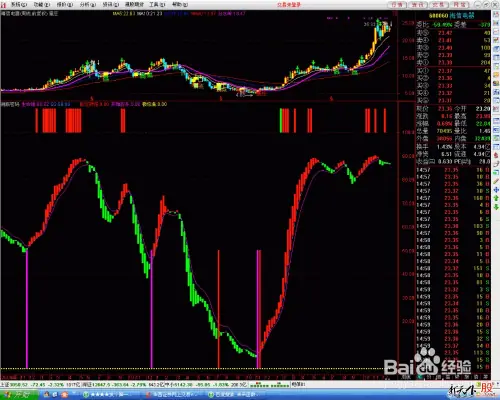 股票初学者看什么书籍？