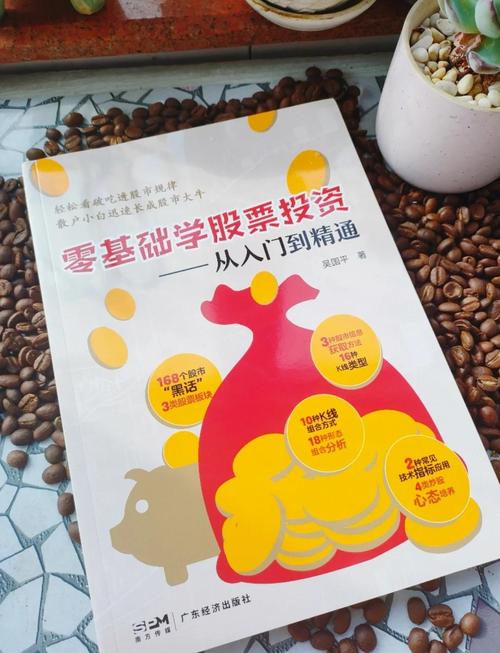 股票入门知识_股票K线技术指标书籍_学习股票入门知识