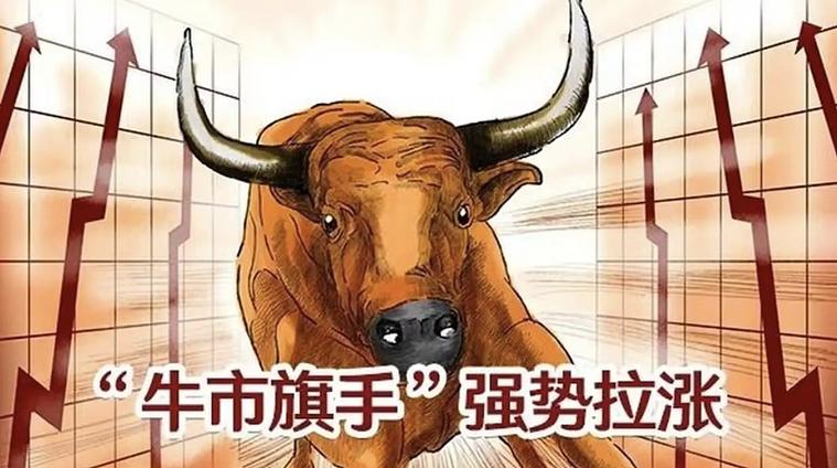 中金公司投行立案调查_券商板块牛市旗手_牛市板块顺序