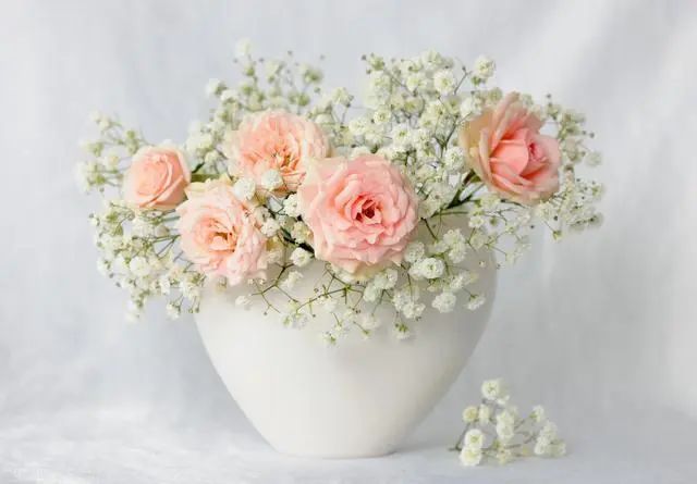 牛市板块顺序 投资耐心的七大境界：从空仓等待到穿越牛熊，如何修炼终极财富性格？