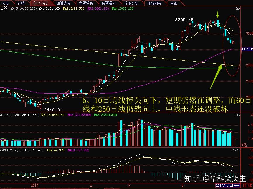 顺势而为投资策略_大盘医药股和小盘医药股哪个好?_大盘K线分析