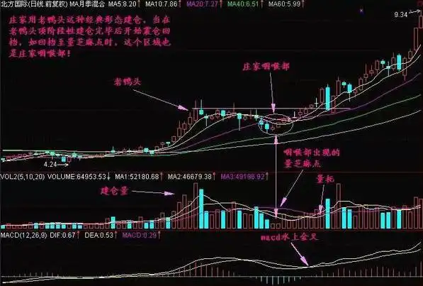 巴菲特价值投资案例_中石油投资回报分析_如何尾盘买入强势股