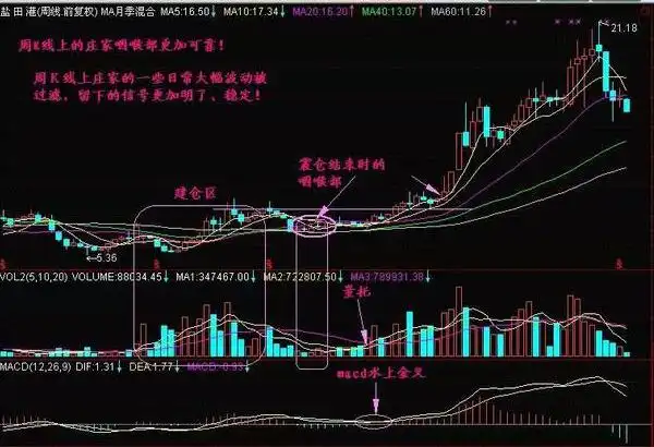 中石油投资回报分析_巴菲特价值投资案例_如何尾盘买入强势股