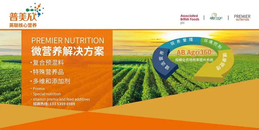 2025年肉鸡行情_鸡肉贸易转向出口模式_2025年鸡肉出口量下降鸡肉进口量上升