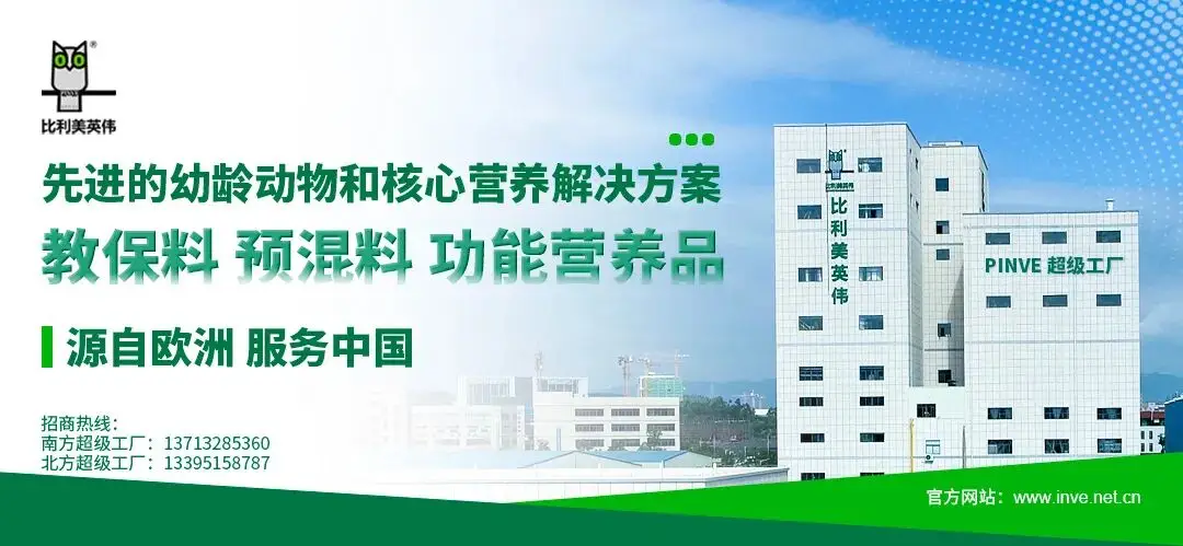 2025年肉鸡行情_鸡肉贸易转向出口模式_2025年鸡肉出口量下降鸡肉进口量上升