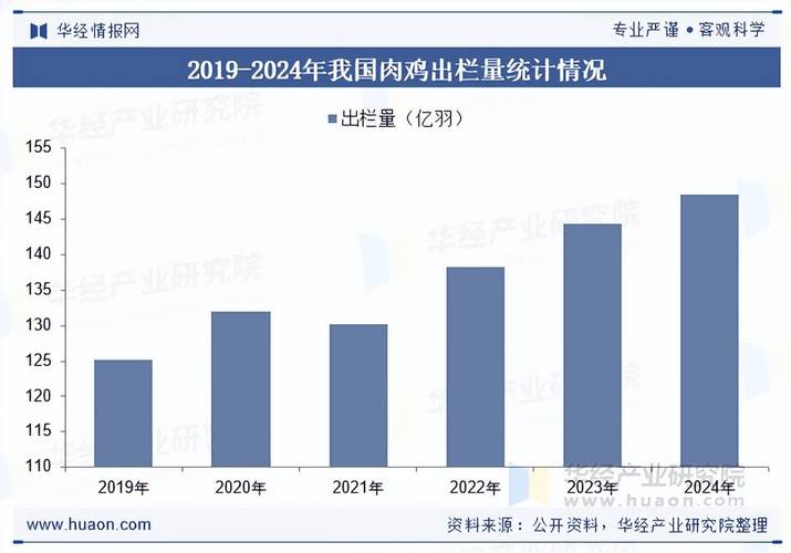 2025年肉鸡市场价格过山车，2026年供需博弈何去何从？