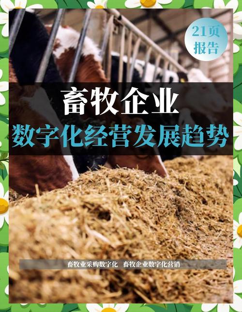 猪价前低后高趋势分析_2026獭兔养殖行情_2026年生猪价格预测