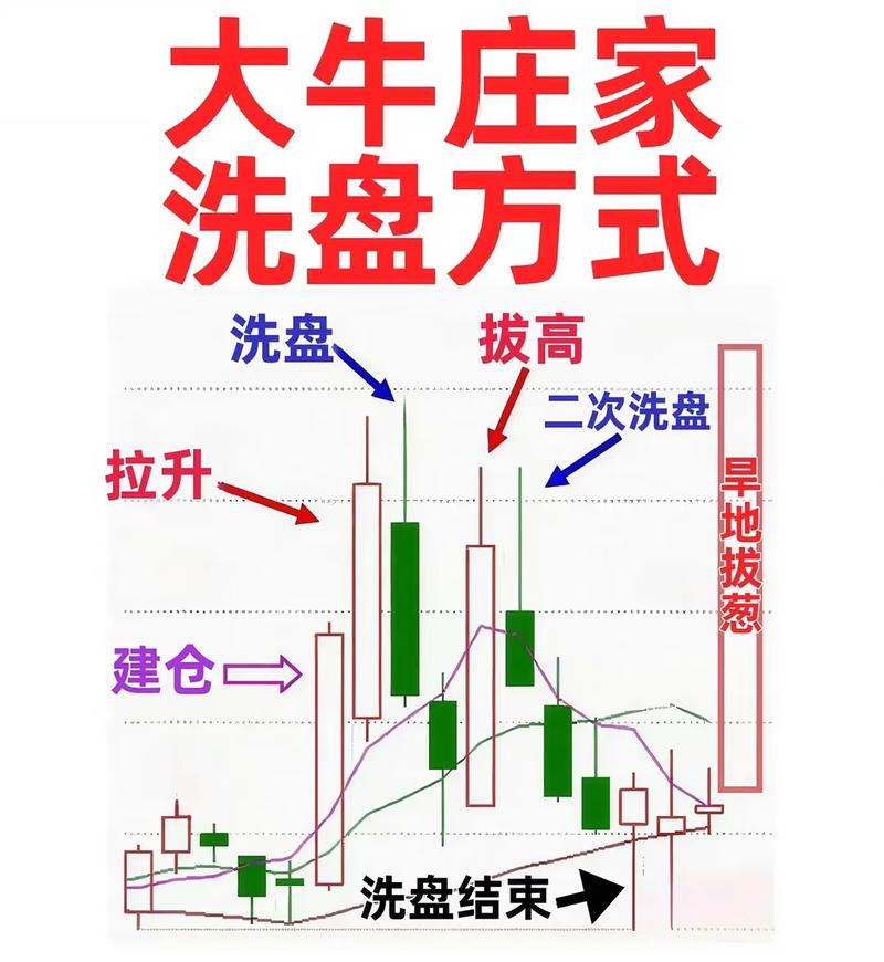 长阴倒拔杨柳战法_大阴线洗盘_葛卫东洗盘信号