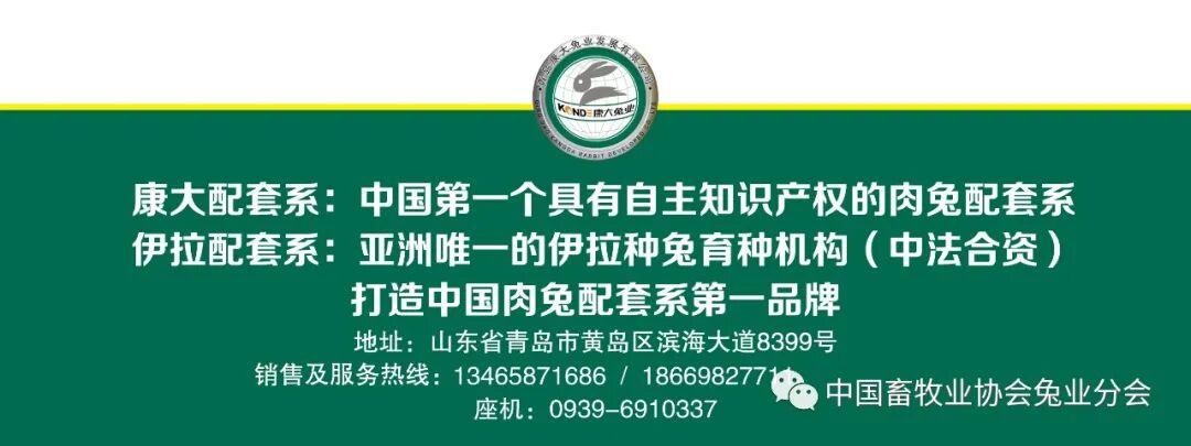 2023年8月兔产业发展指数_兔产品价格指数分析_2026獭兔养殖行情