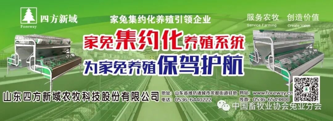 2026獭兔养殖行情_兔产品价格指数分析_2023年8月兔产业发展指数