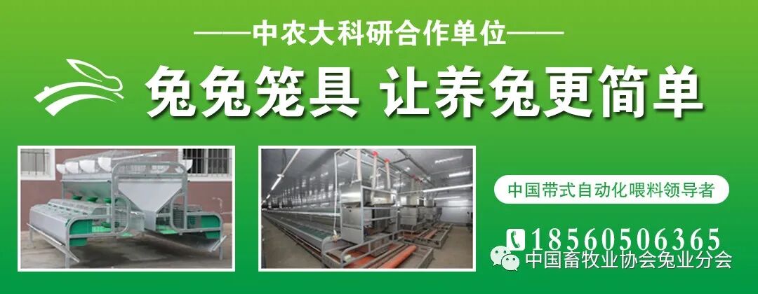 2026獭兔养殖行情_2023年8月兔产业发展指数_兔产品价格指数分析